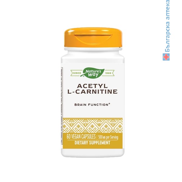 ацетил л-карнитин 