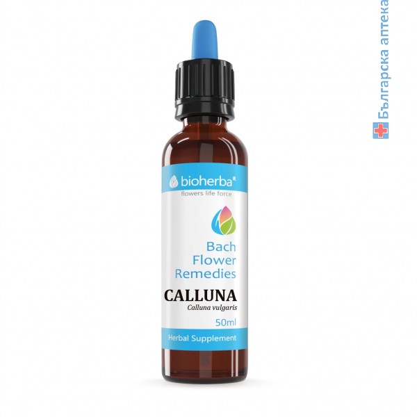 calluna,калуна,пирен,calluna vulgaris, лечение с цветовете на бах