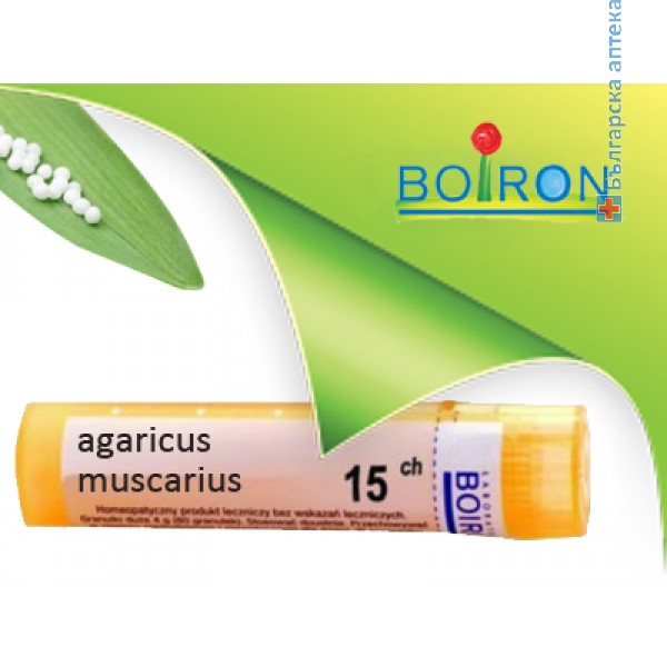agaricus muscarius, boiron