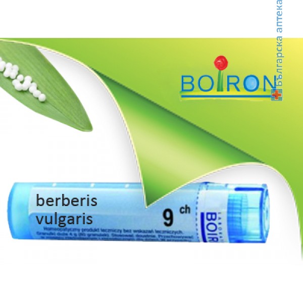 berberis vulgaris,boiron