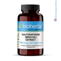 Сулфорафан от Броколи - антиоксидант, Bioherba, 400 мкг, 60 капсули
