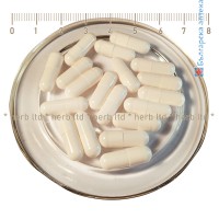 Празни капсули за лекарства и добавки вегетариански - размер 00, 1000 мг, CapsCanada