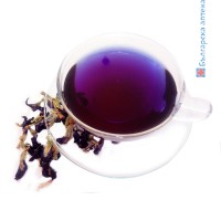Клитория тернатея – Син чай, при безсъние, Clitoria ternatea