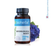 Хортензия корен, Bioherba, 250 мг, 100 капс.