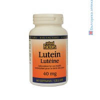 Лутеин, Natural Factors, 40 мг, 60 софтгел капсули + ПОДАРЪК Гъбка за почистване на очила
