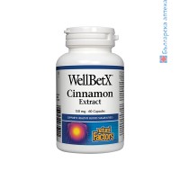 WellBetX Канела екстракт, Natural Factors, 150 mg, 60 капс.