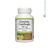 Гарциния Камбоджа, Natural Factors, 750 mg, 90 табл.