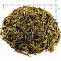 зелен чай листа, насипен чай сенча, Camellia sinensis, сенча чай свойства