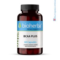 Bioherba Bcaa Plus, 60 Capsules