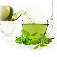 зелен чай билки, марокански зелен чай, ароматен чай