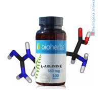 л-аргинин, амино киселина, сърдечносъдова система