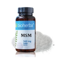 MSM – МСМ, Bioherba, 560 мг, 100 капс.