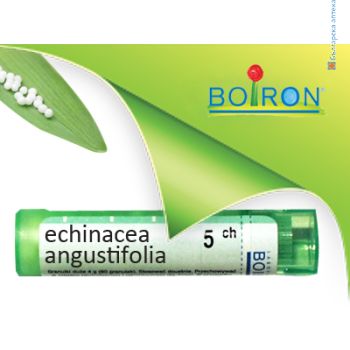 ехинацея, echinacea angustifolia ch 5, боарон