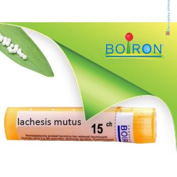 lachesis mutus, boiron