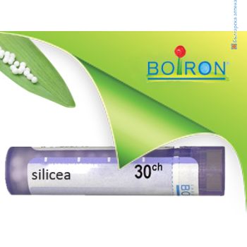 silicea, boiron