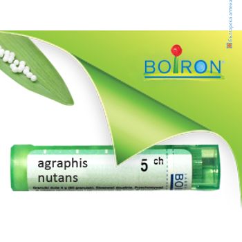 agraphis nutans, boiron