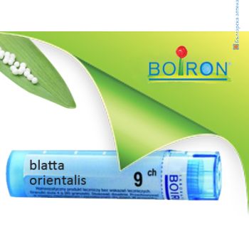 blatta orientalis,boiron