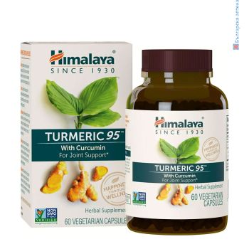 turmeric 95, турмерик 95, куркумин, куркума, антиоксидант, himalaya