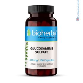 glucosamine sulfate, глюкозамин сулфат, хранителна добавка