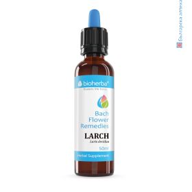 larch,лиственица,larix deciduas, капки на бах униние и отчаяние