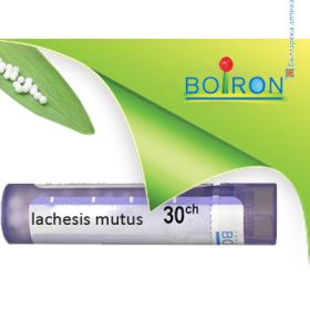 lachesis mutus, boiron